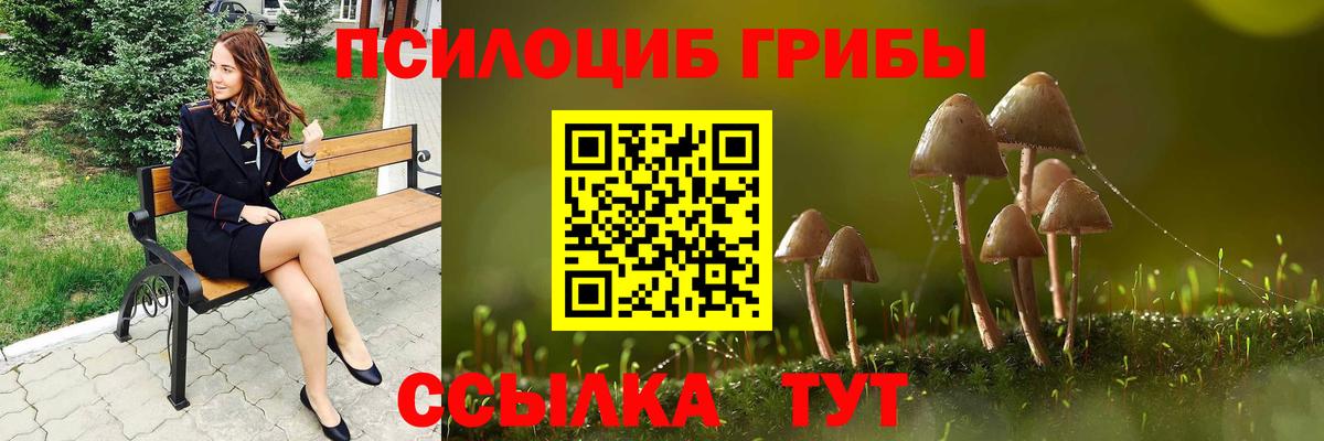 Галлюциногенные грибы Cubensis  Вход с VPN  Сосновый Бор 