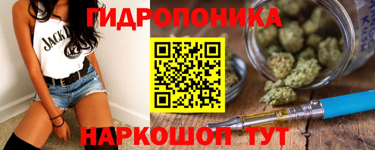 Каннабис индика Сосновый Бор